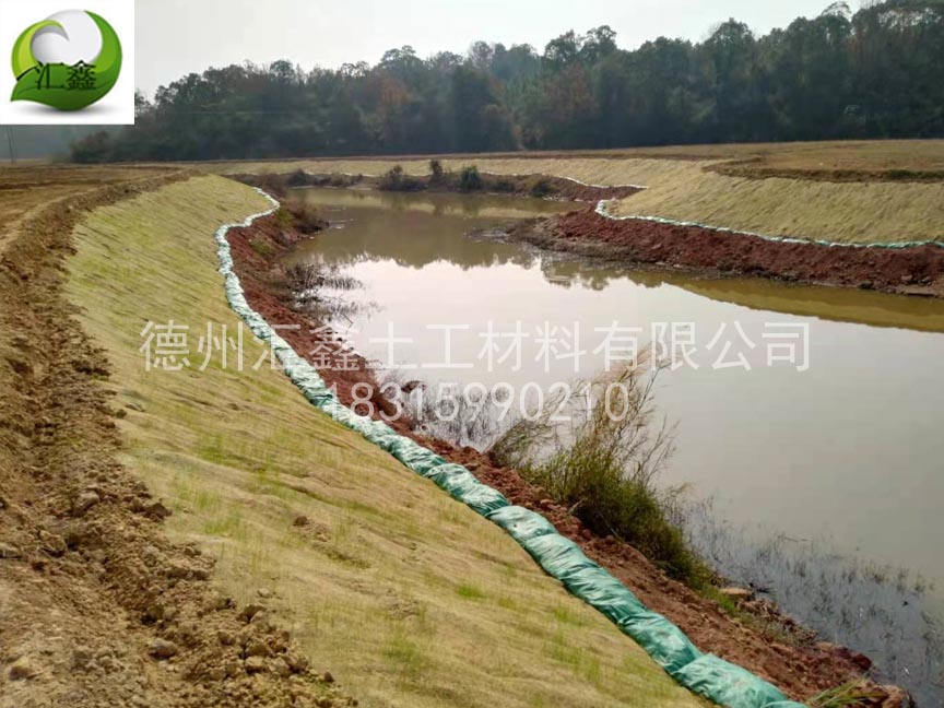 植生毯進行邊坡修復是如何施工的(圖1)