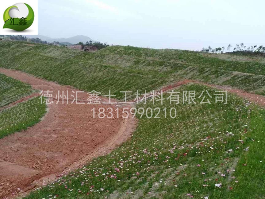 護坡草毯廠家常用的草籽有哪些？(圖1)