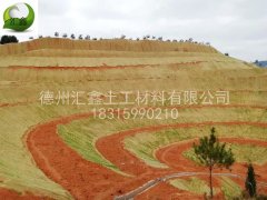 生態(tài)護(hù)坡毯種類(lèi)齊全